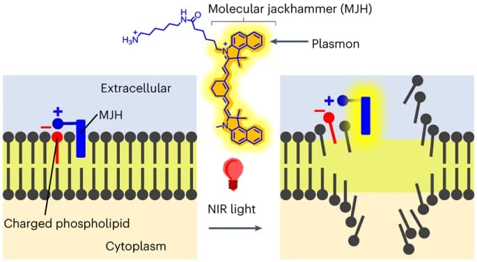 Nature Chemistry Cover - Molecular Jackhammers